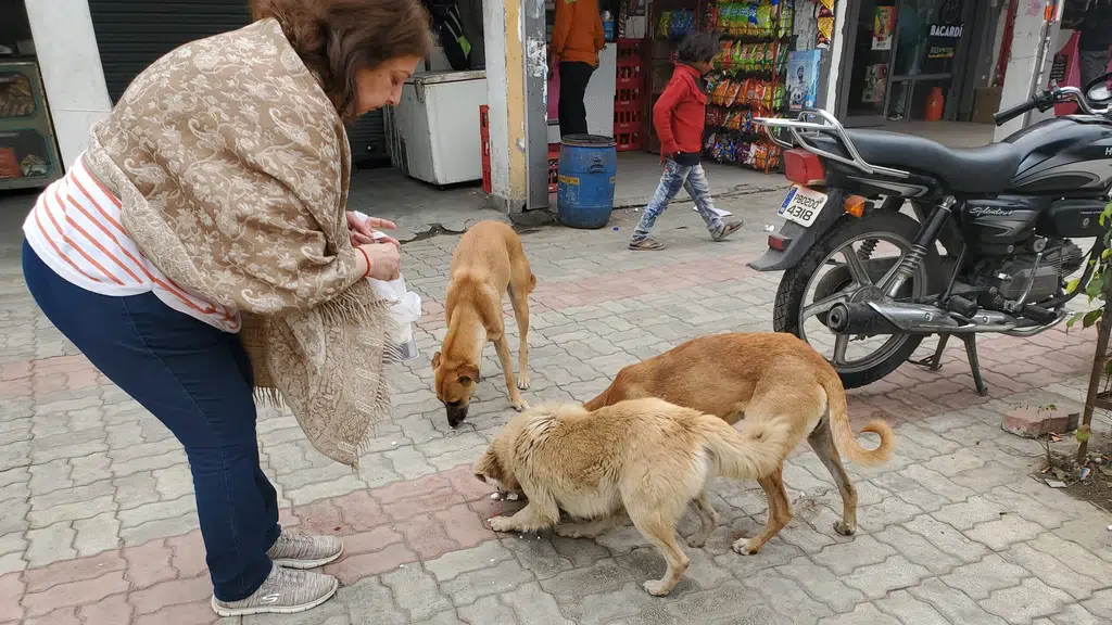 Animal Welfare Charitable Trust