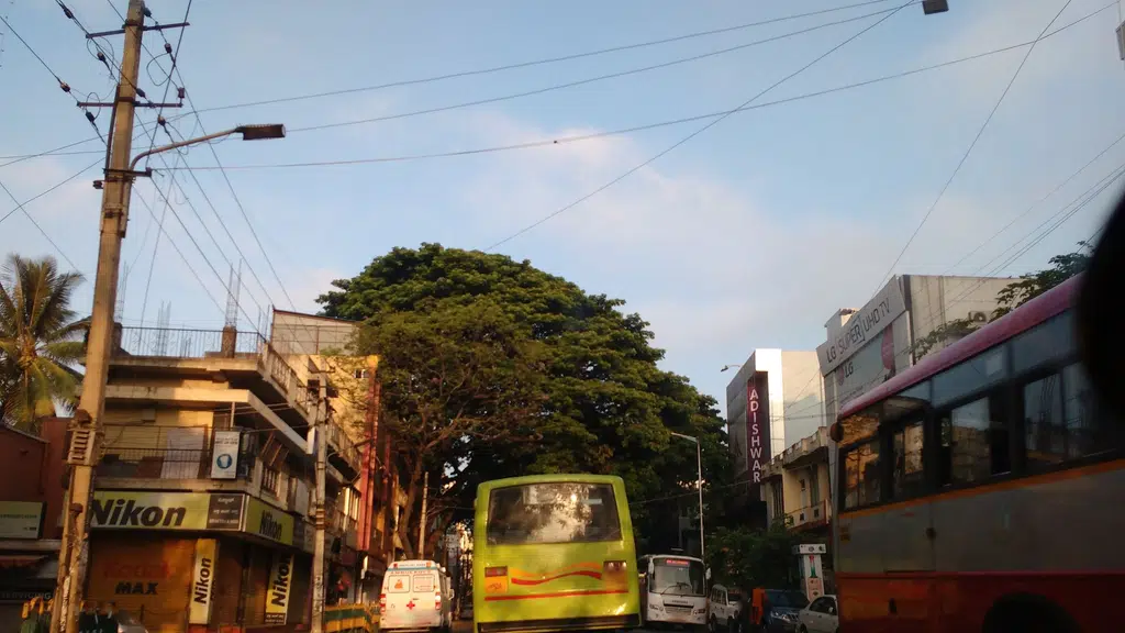 Karavali Bag Agency