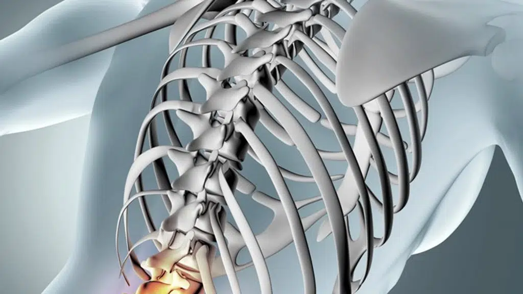 Asian Joint Reconstruction Institute