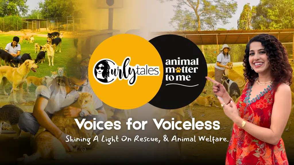 Animals Matter to Me