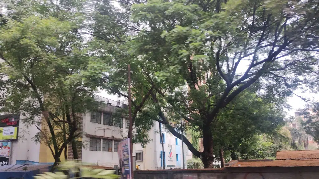 Tanarika Veg Restaurant