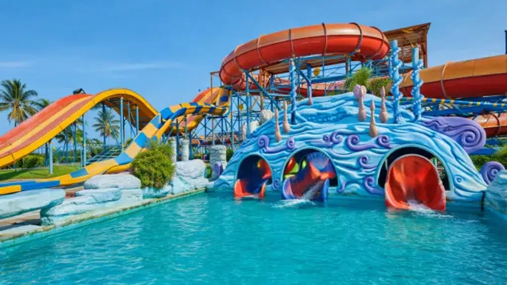 VGP Universal Kingdom