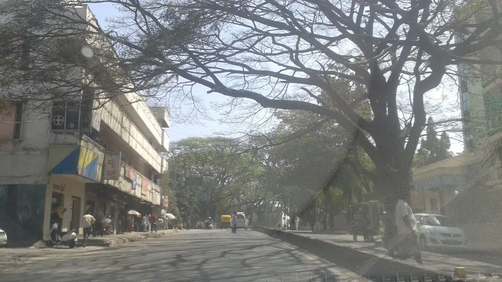 Udipi Hotel