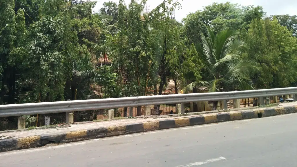 Shree Kalimata Sra Building