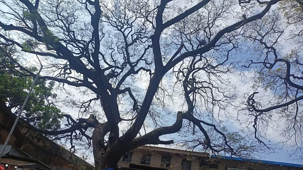 Fort Church, Bangalore