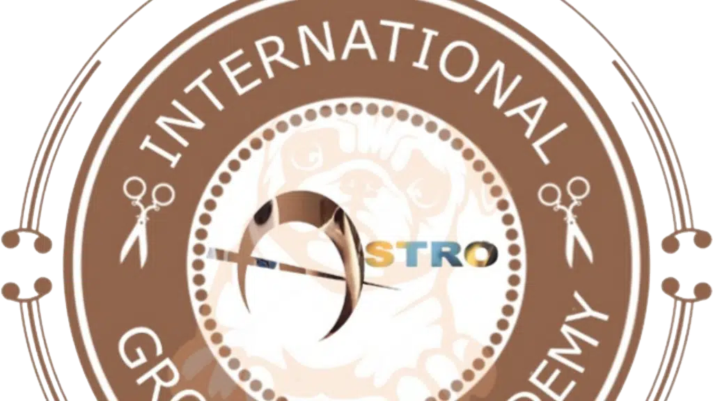 Astro International Grooming Academy A.i.g.a