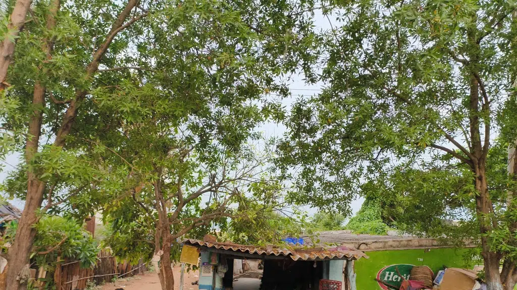 Gunturu Vari Rama Krishna Hotel