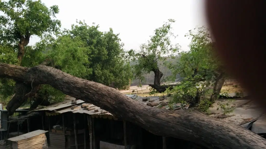 Baglamukhi Temple , Kotla