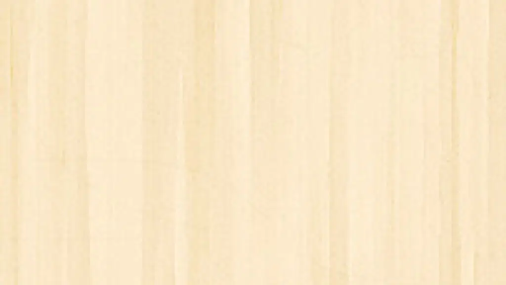 SLA Consultants India