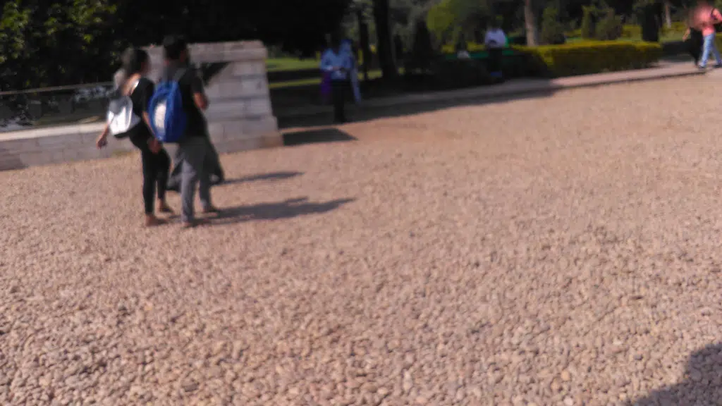 Victoria Garden