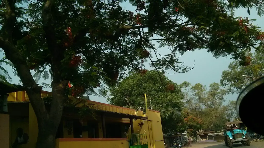 YUVA Sports Academy