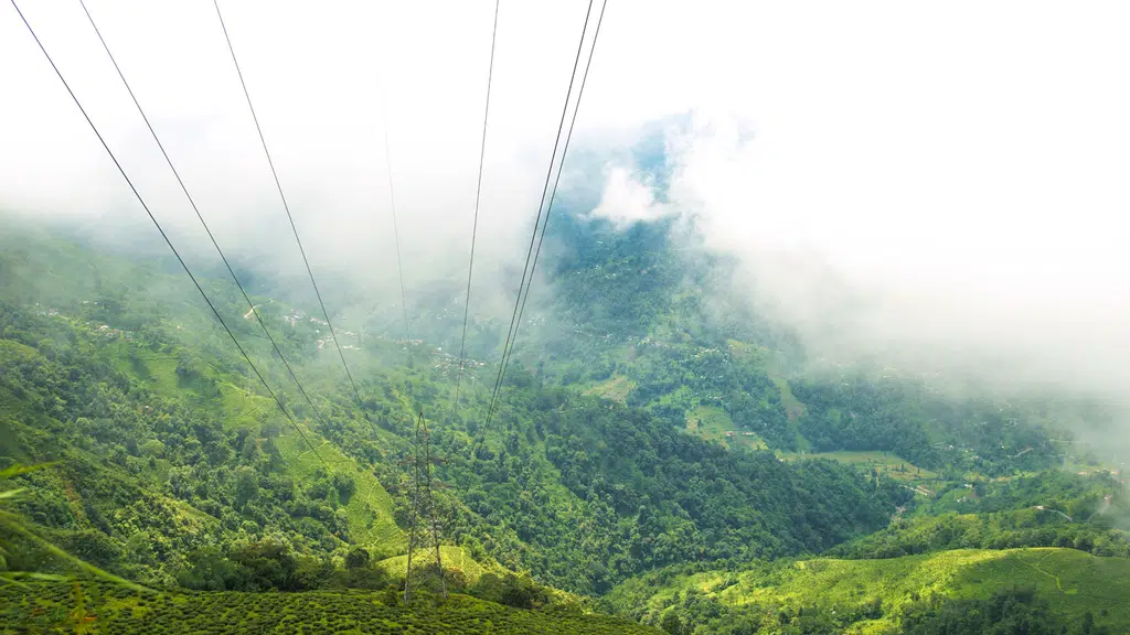 Rishi's Nature Photography