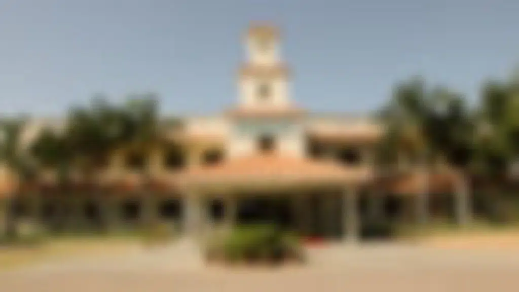 Sri Narayani Vidyalaya