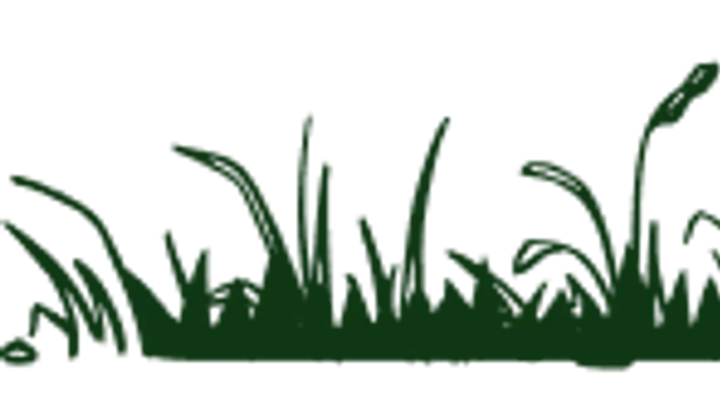 TDS Agro Agency