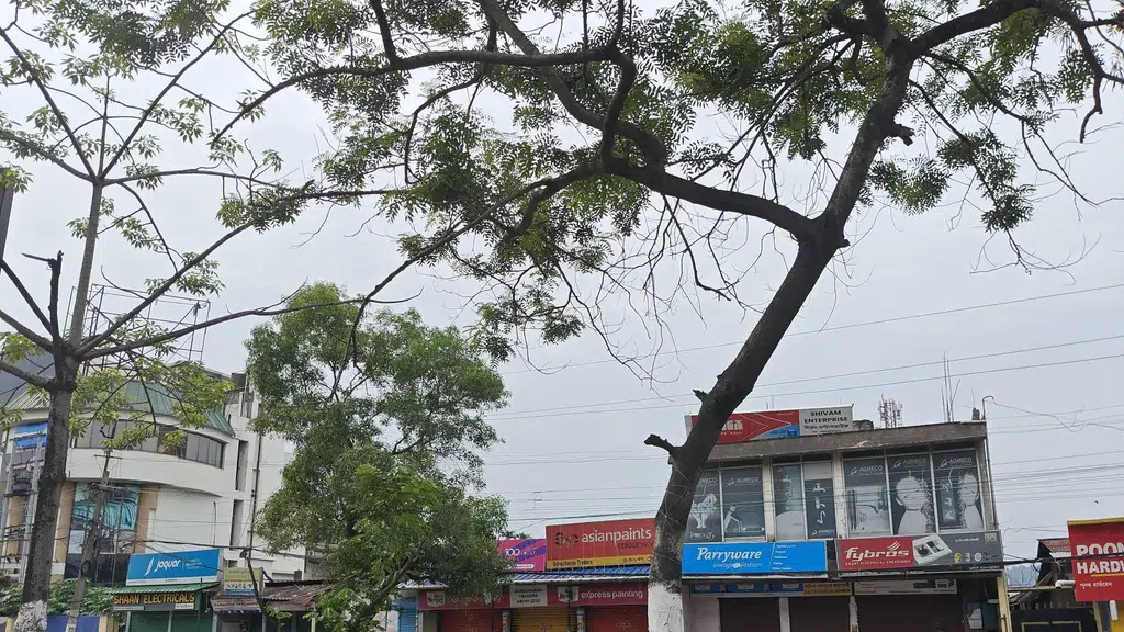 Adhunik Vasundhara