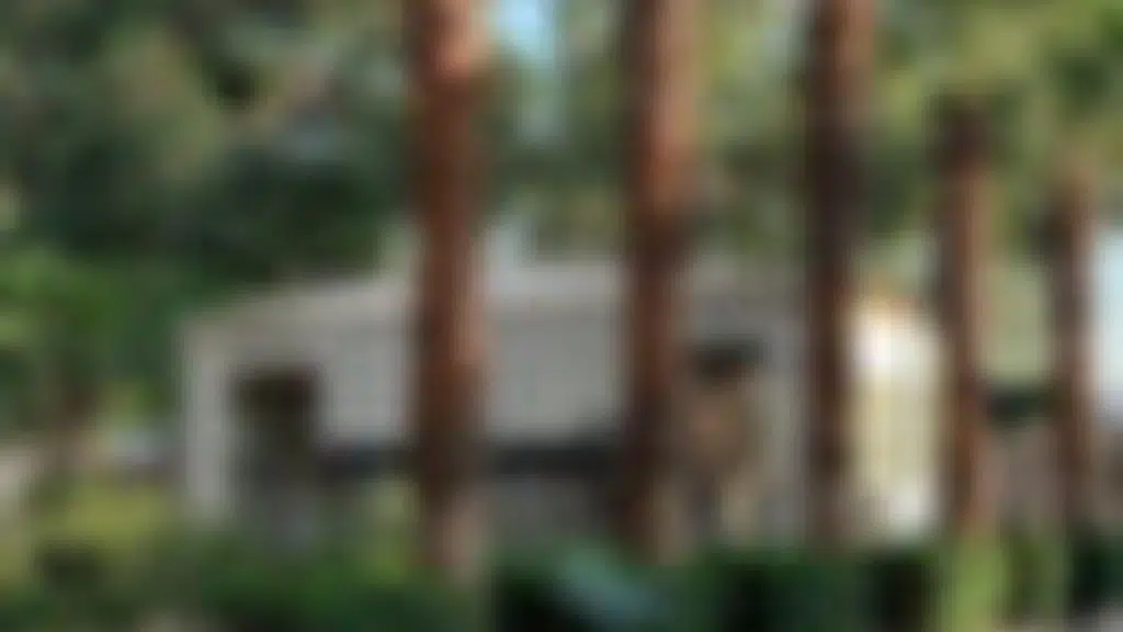 Hotel Asha