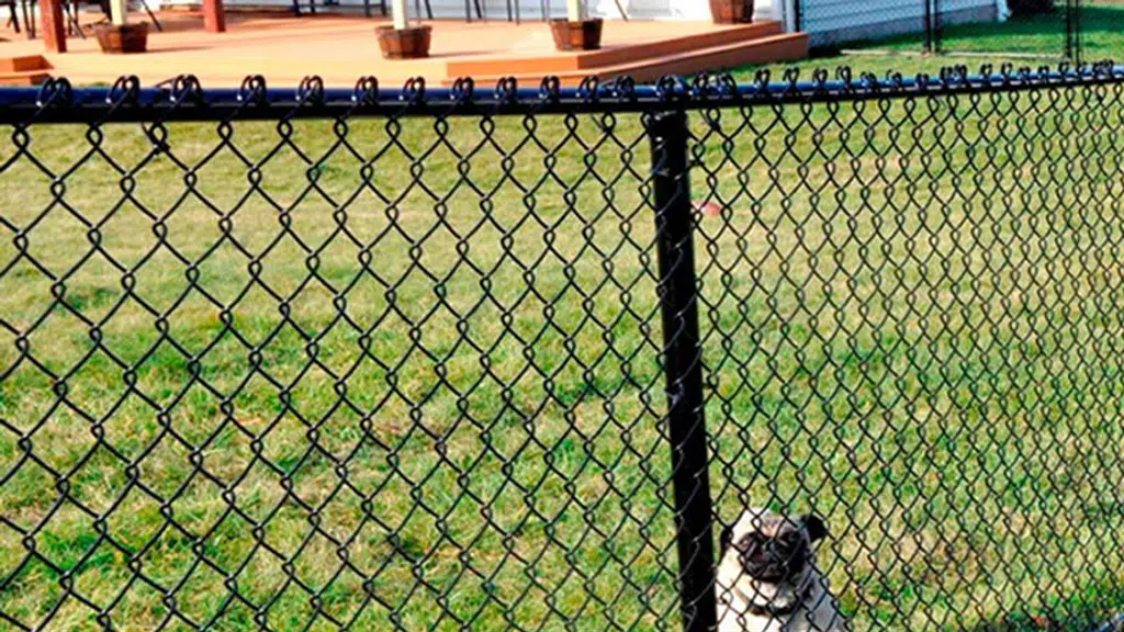 National Wire Netting Agency