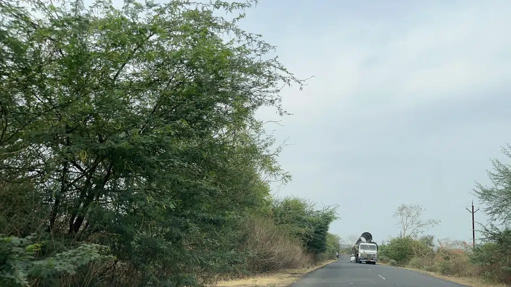 Rajat filmi