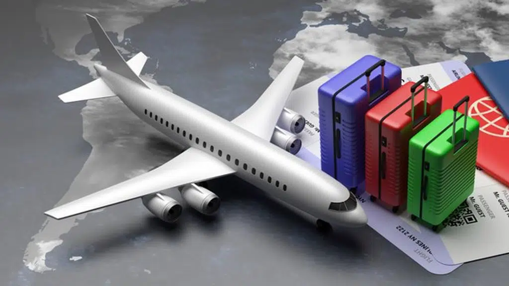 Trip Port Travel & Tours