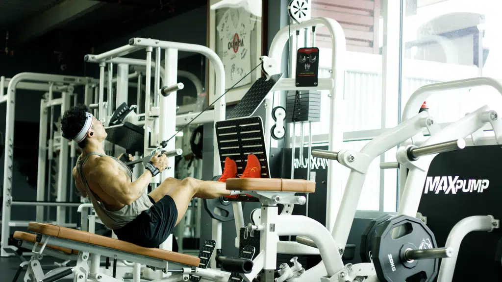 Muscle.Factory Gym