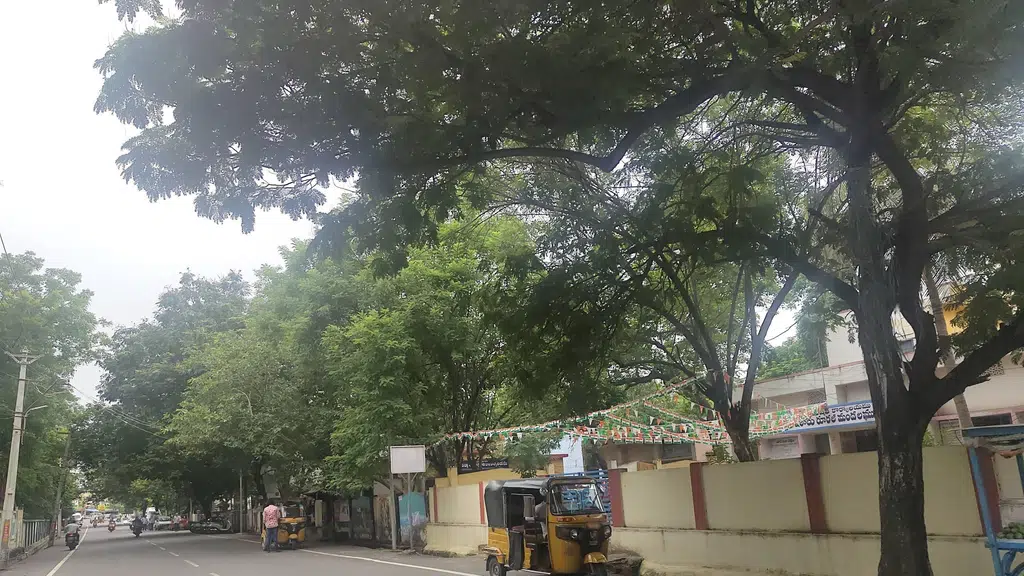 Bharatiya Vidya Bhavan's Vidyashram