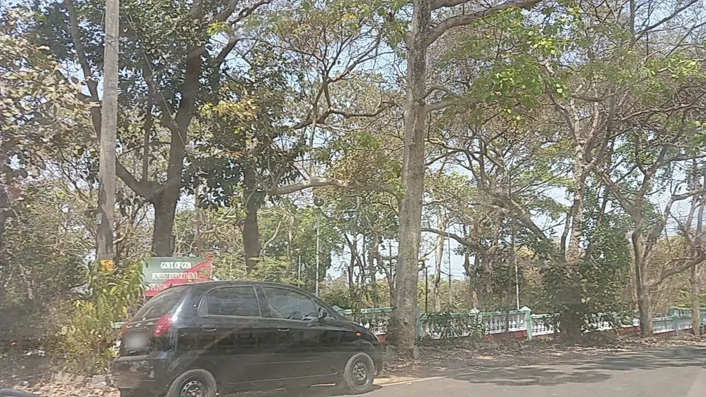 Bank of Baroda