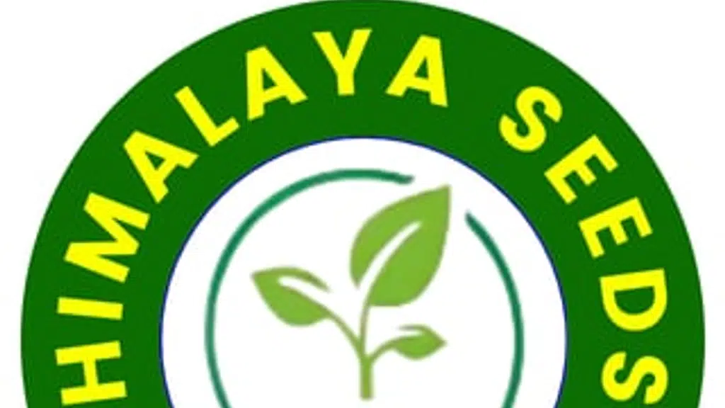Himalaya seeds