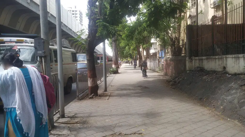 Mata Laxmi Park