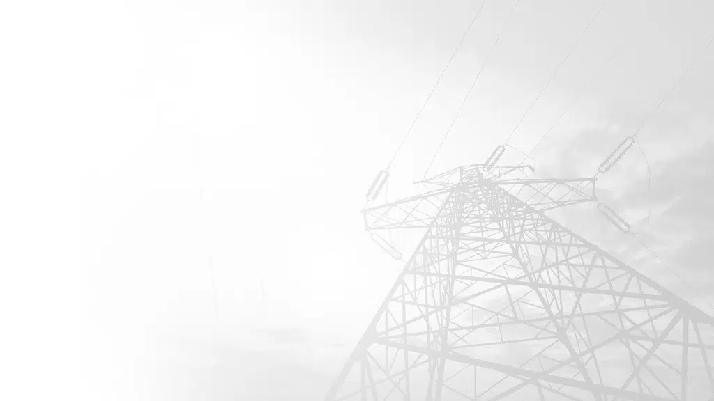 Vidyut Controls and Automation Pvt. Ltd.