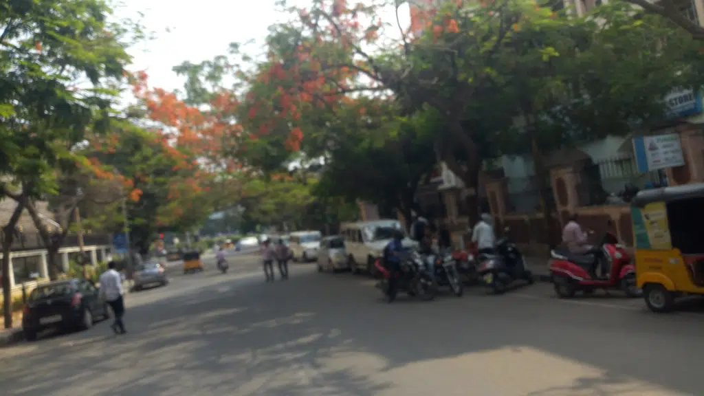 Rohiwal Windsor Apartment