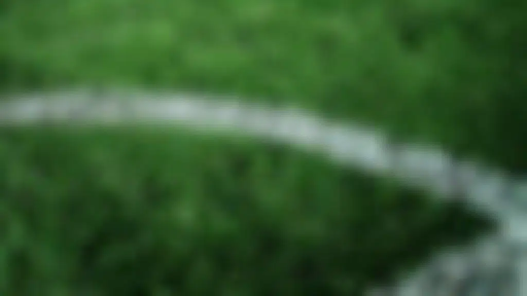 Bangalore Football Turf