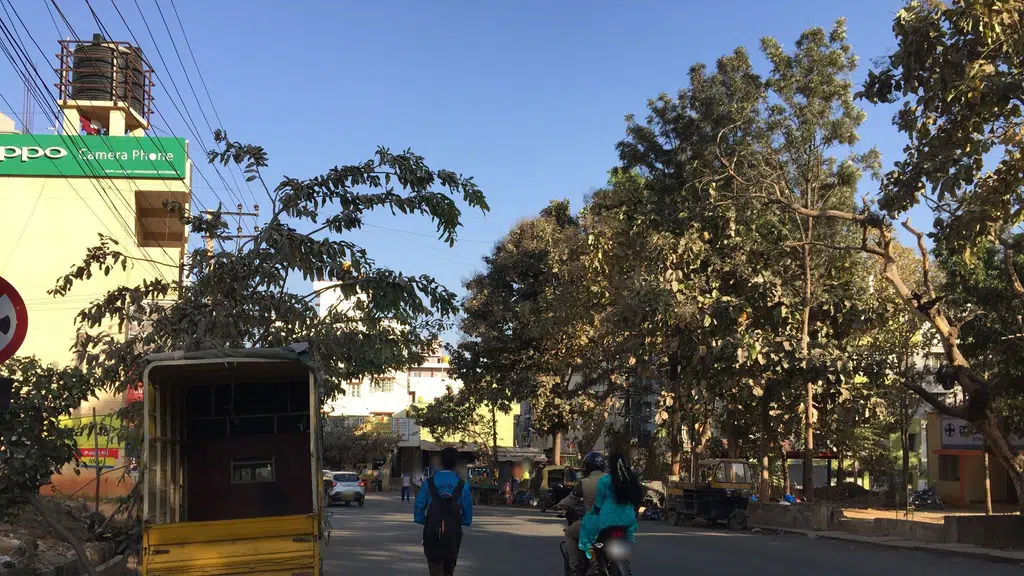 Government High School
