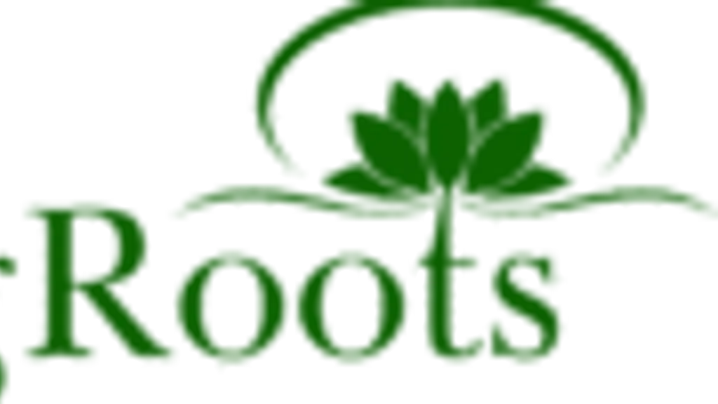 RangRoots Lifestyle