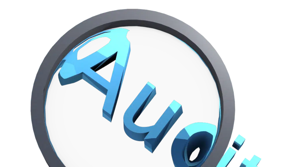 Auriga Accounting Pvt.Ltd