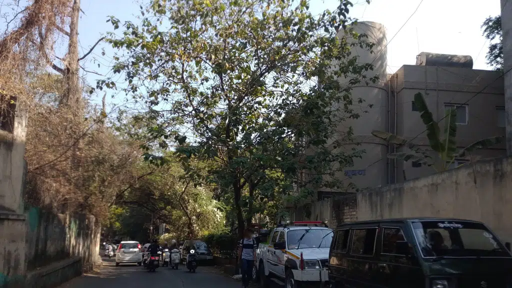 SOTC for Holidays | Shivajinagar
