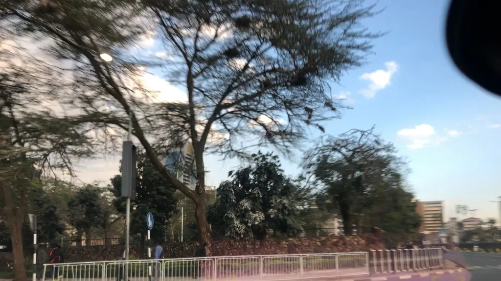 Kenyatta Fountain