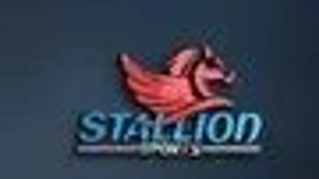 Stallion Sports