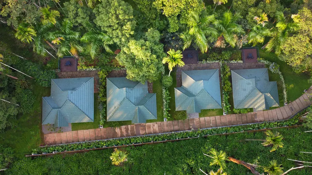 The Woods Resorts
