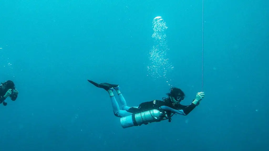 Eternal Divers