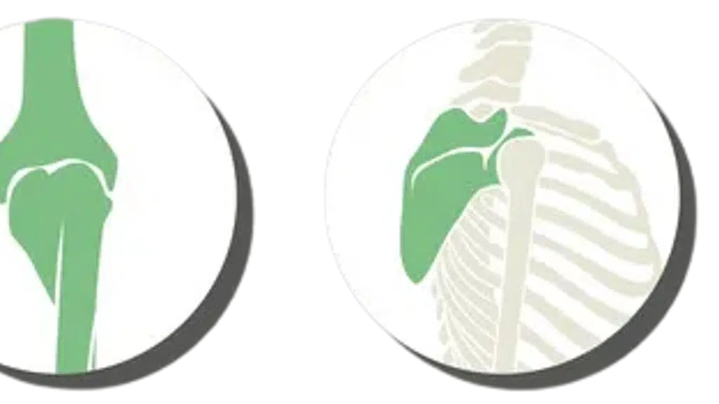 Astha orthopaedic clinic