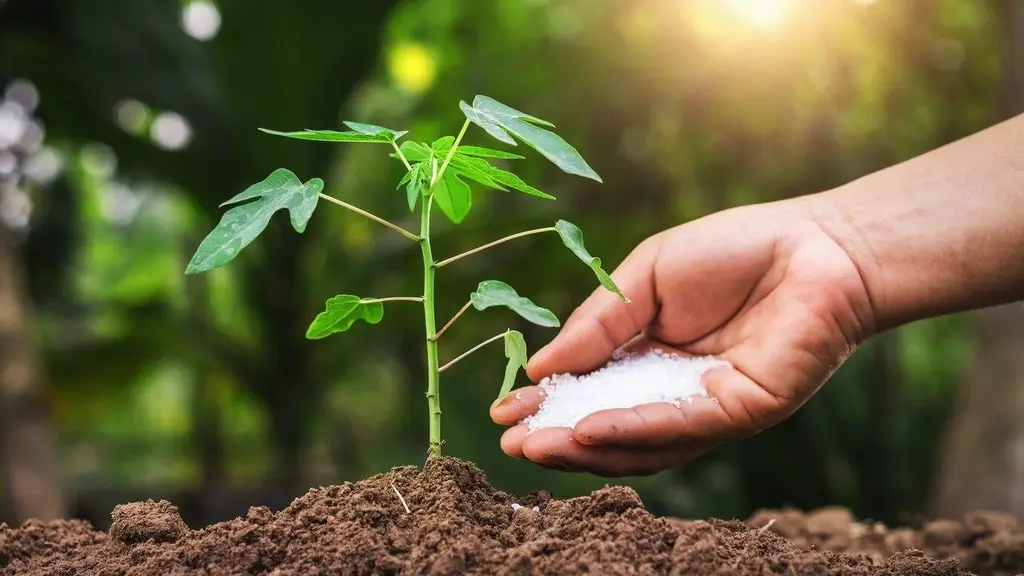 Gujarat Aksha Fertilizer Company