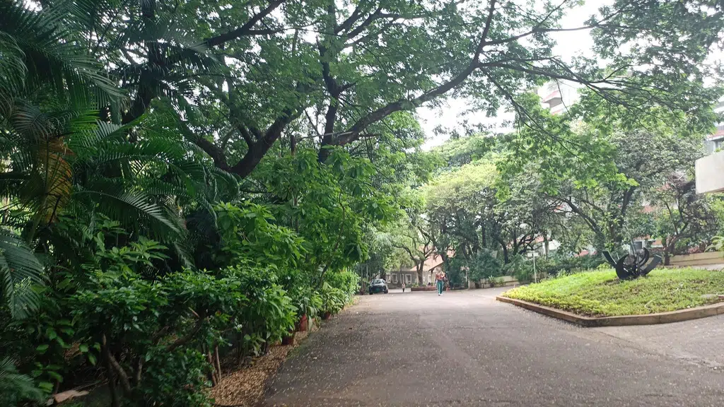 Mahamaya College ratanpur
