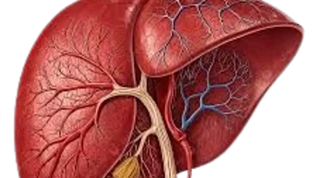 Dr Keyur Bhatt - GastroSurgeon