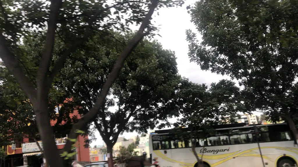 Stanford International School Bangalore