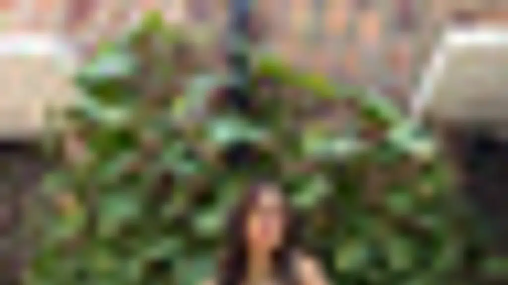 Gownwala