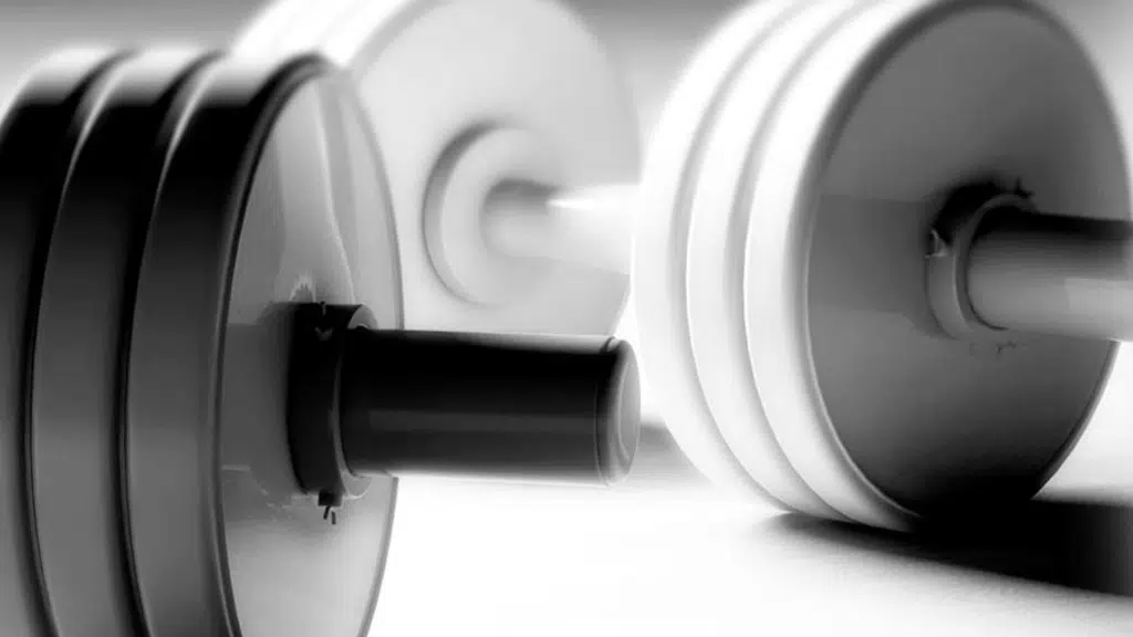 Indus Gym Equipment