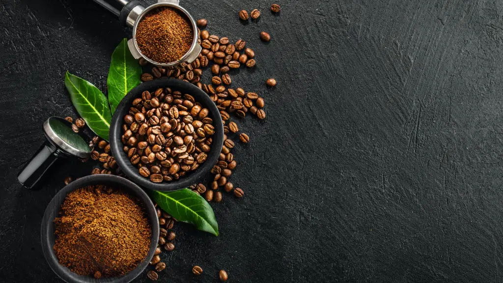 Nisarga Coffee Co