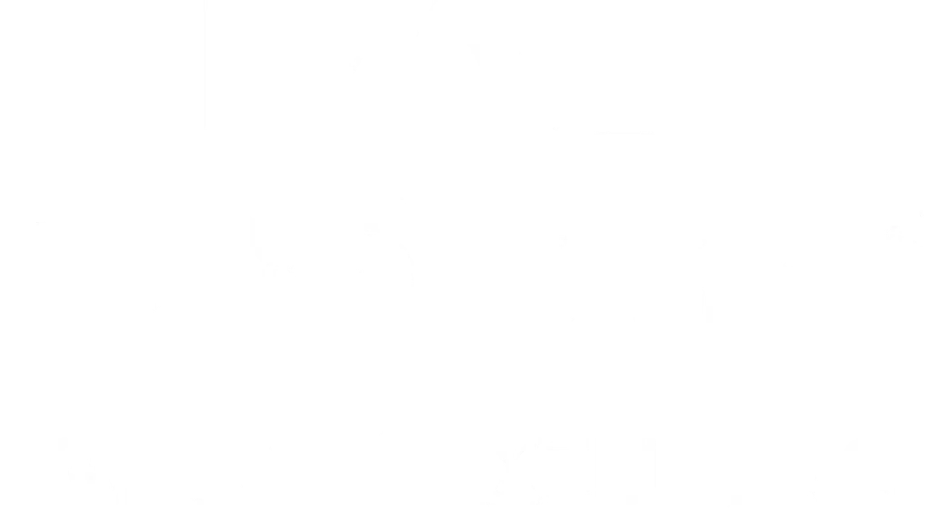 Ravi - Raj Anodisers