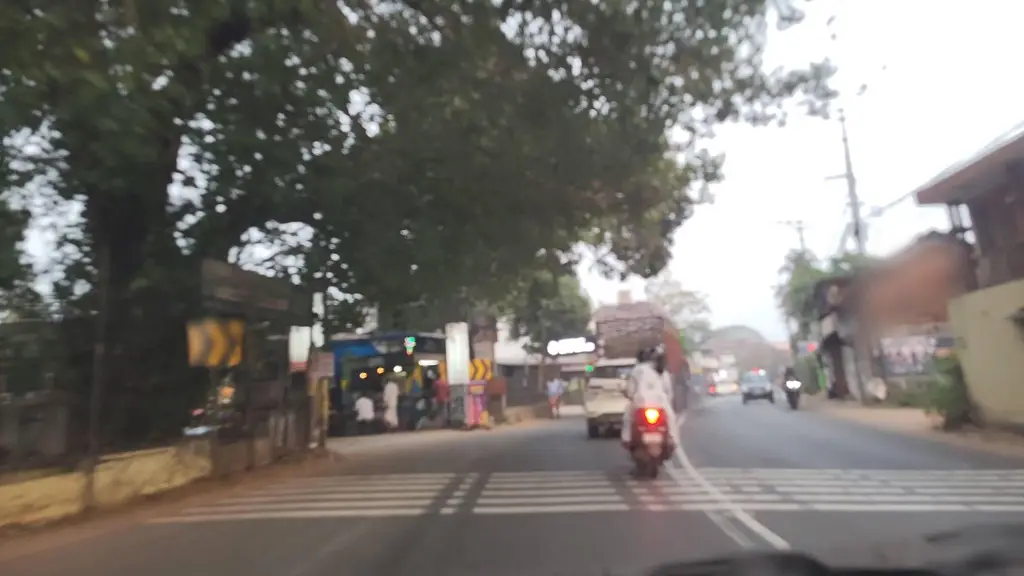 Pallikulam Sree Mahavishnu Temple