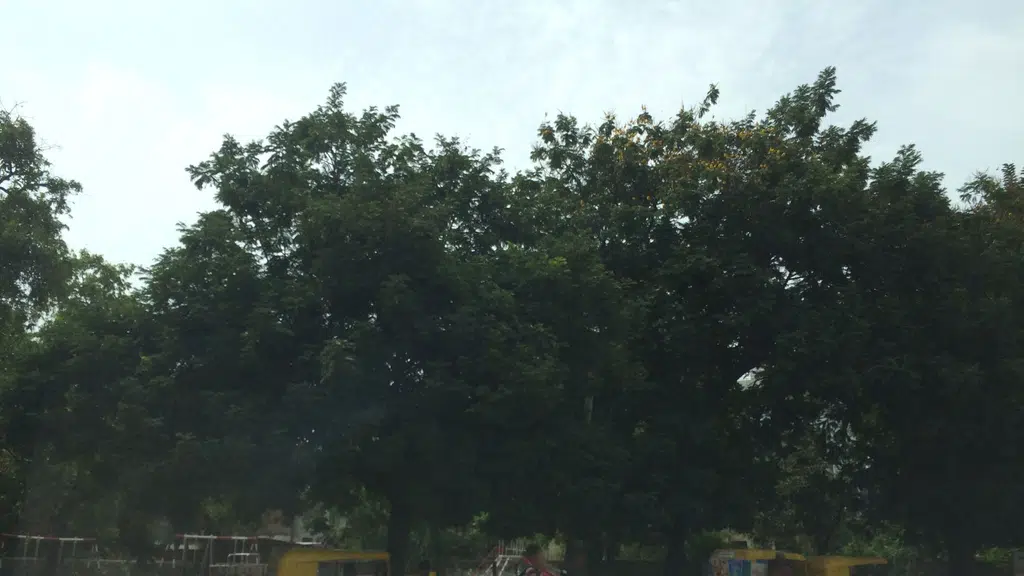 Aashirwad restaurant
